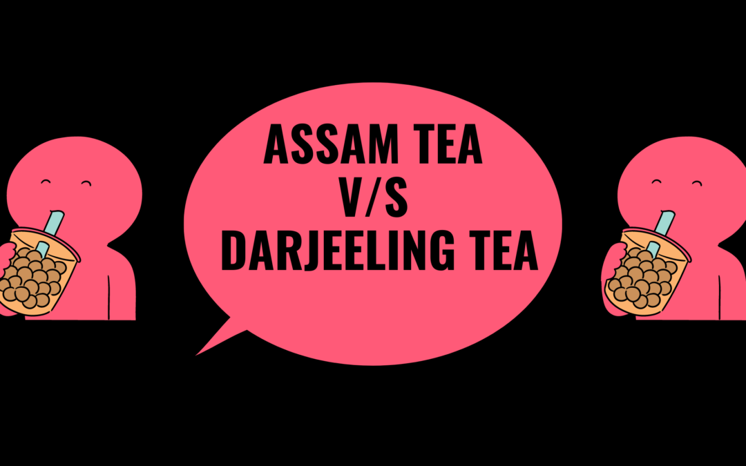 Assam Tea Versus Darjeeling Tea: 27 Never Before Considered Differences